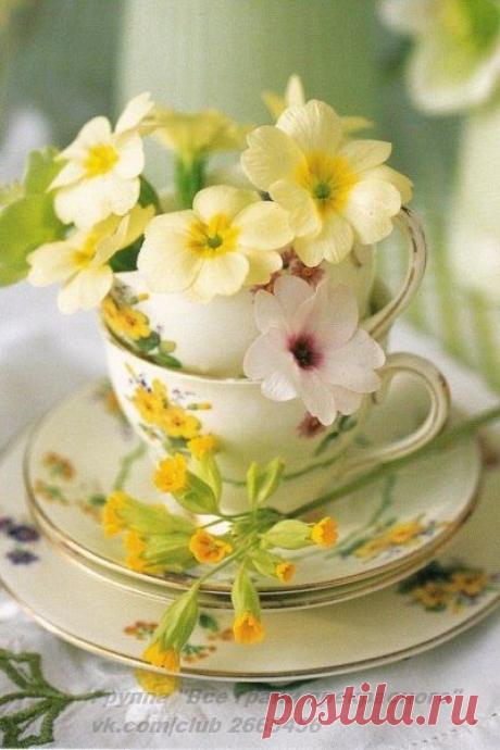 Интересные новости