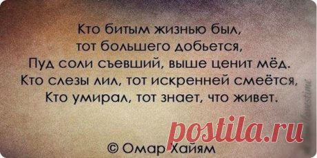 Страницы
