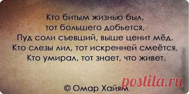 Страницы