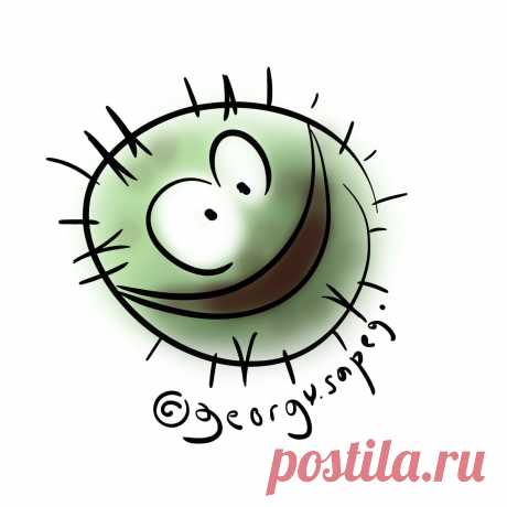 Помогают ли капли из конского каштана при варикозе? | Для пациентов | Дзен