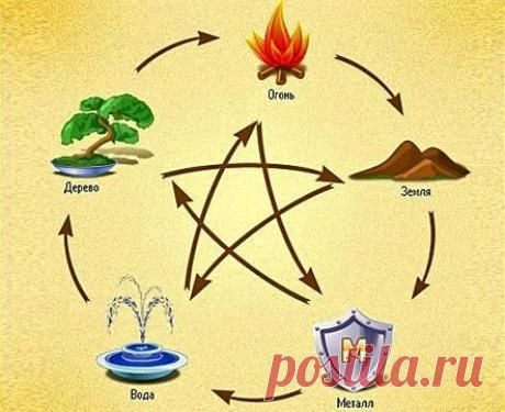 звезда состоящая из 5 элементов=4 стихии +5 элемент ДЕРЕВО=наша голова - 6 тыс. картинок - Поиск Mail.Ru