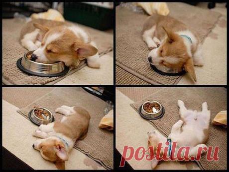 Жизнь прекрасна)