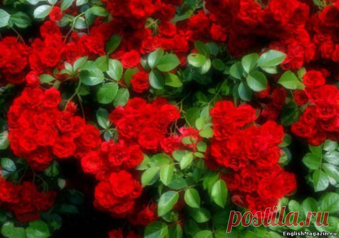 s3868169.jpg (Изображение JPEG, 700 × 491 пикселов)