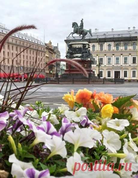 Весна лето в петербурге фото: 2 тыс изображений найдено в Яндекс Картинках