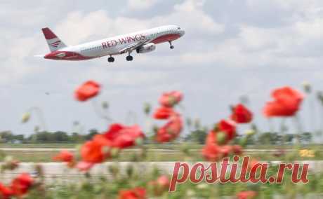 Red Wings получила разрешение на полеты в Грузию из Москвы и Сочи. Авиакомпания будет летать по маршрутам Сочи — Тбилиси и Москва — Кутаиси и обратно по три раза в неделю. Кроме Red Wings разрешение на полеты между странами пока получили российская «Азимут» и грузинская Georgian Airways