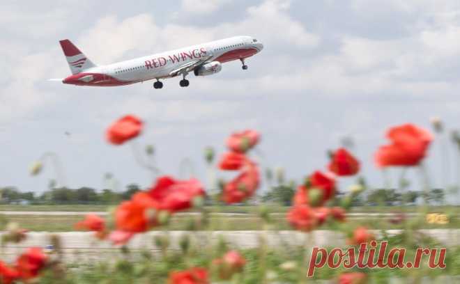 Red Wings получила разрешение на полеты в Грузию из Москвы и Сочи. Авиакомпания будет летать по маршрутам Сочи — Тбилиси и Москва — Кутаиси и обратно по три раза в неделю. Кроме Red Wings разрешение на полеты между странами пока получили российская «Азимут» и грузинская Georgian Airways