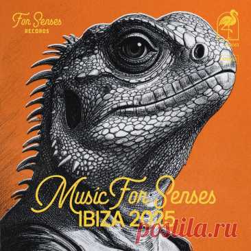 VA - Music for Senses IBIZA 2025 FSR063 » MinimalFreaks.co