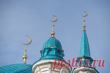 Сожжение Корана солдатами ВСУ возмутило Высший исламский совет Алжира. Директор по информации Высшего исламского совета Алжира Мухаммед Багдад заявил, что был шокирован увиденными фото и видео украинских солдат, сжигающих Коран. По его словам, необходимо создать глобальную гуманитарную хартию по предотвращению посягательств на святыни и религии.