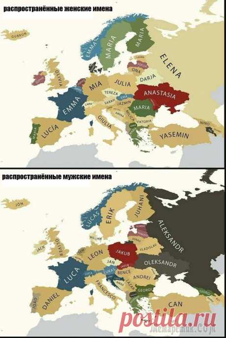 Шутки от кота аристократа