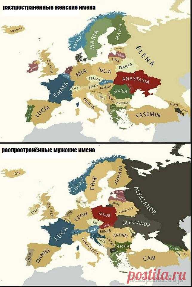 Шутки от кота аристократа
