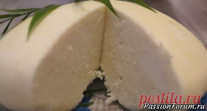Домашний сыр из молока. Самый легкий рецепт приготовления Сыра!