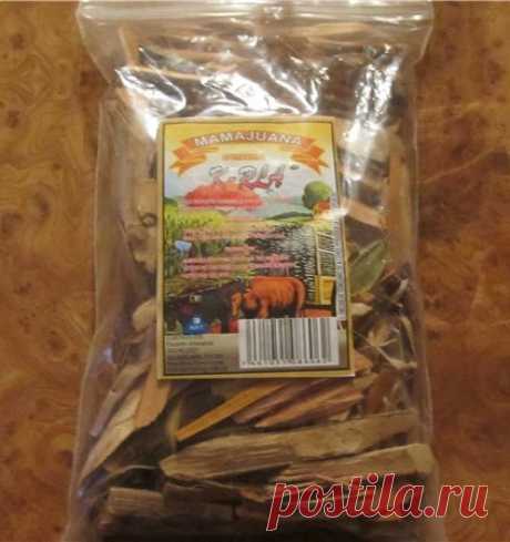 Мамахуана – понятие и рецепт приготовления настойки
