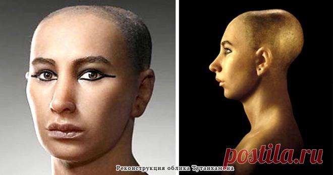 рептилоиды вики- фотографии и рисунки. - Поиск в Google