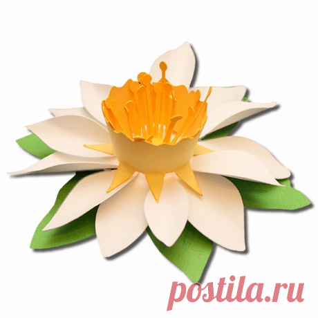 Bits of Paper: Fringed and Spring 3D Paper Flowers!