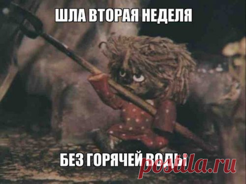 Прикольные фотомемы (25 шт)