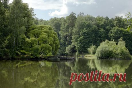 Лето в Царицыно