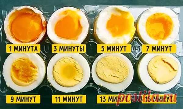 Советы на все случаи жизни