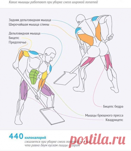 Вам, юные спортсмены!