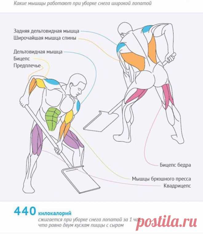 Вам, юные спортсмены!