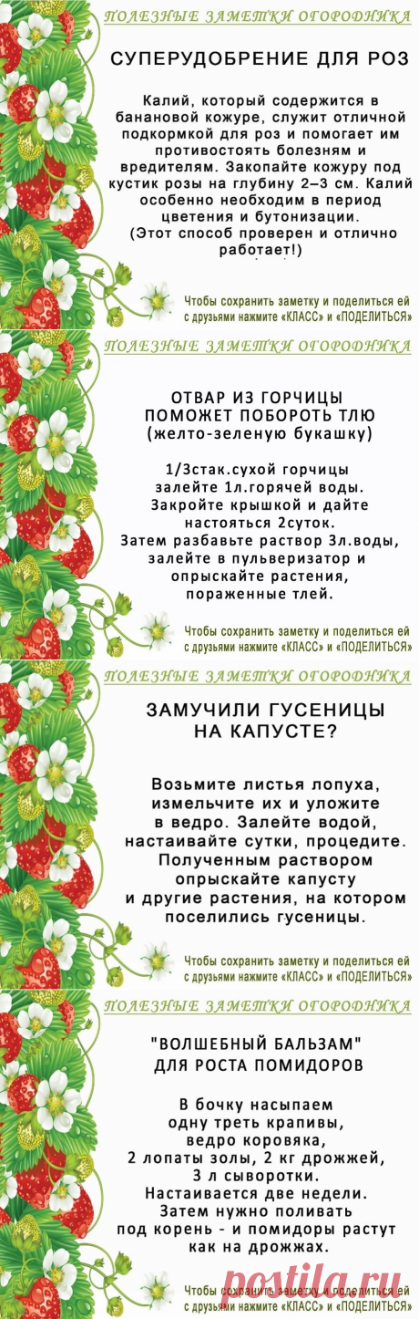(11) Одноклассники