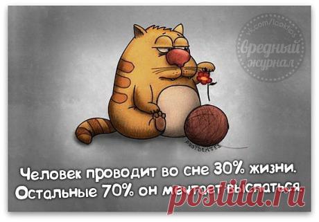 высказывание