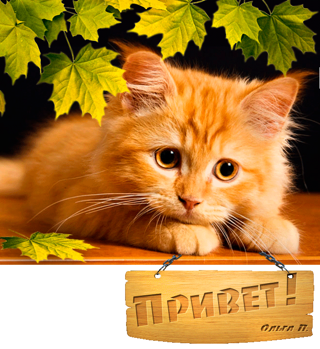 ПРИВЕТИК!КАК НАСТРОЕНИЕ?