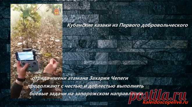 Кубанские казаки из Первого добровольческого отряда имени атамана Захария Чепеги продолжают с честью и доблестью выполнять боевые задачи на запорожском направлении | VestiNewsRF.Ru