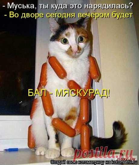 Котоматрица: Главная