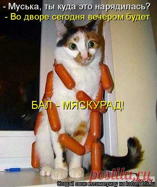 Котоматрица: Главная