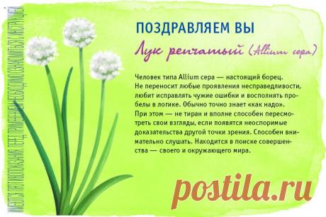 Тест «Какое Вы лекарственное растение?»