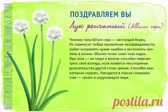 Тест «Какое Вы лекарственное растение?»