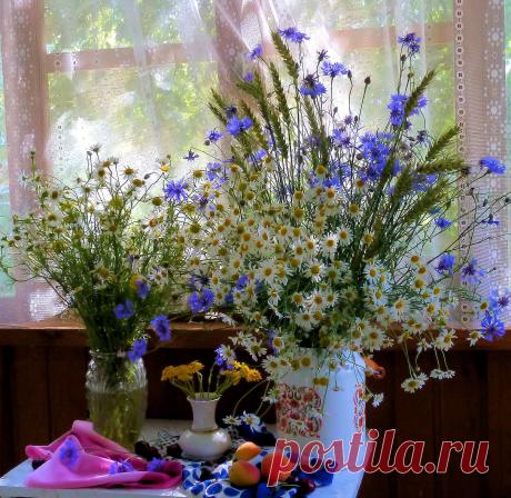 Подарил тебе букет из ромашек…, каюсь.