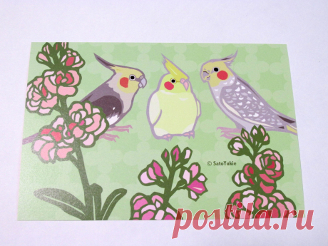 Cockatiel Postcard - Sweet Birdie Boutique, Gift Shop for Bird Lovers – Sweet Birdie Boutique (International)