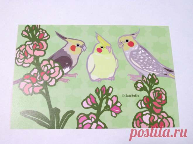 Cockatiel Postcard - Sweet Birdie Boutique, Gift Shop for Bird Lovers – Sweet Birdie Boutique (International)