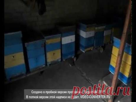 Продаются пакеты карники май 2015года