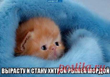 Безжалостные ПАРАЗИТЫ-УБИЙЦЫ живут в теле каждого человека! Рекомендация врача-паразитолога.