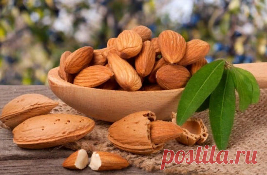 Полезные орешки
Миндаль — любимый орех для многих людей. Они содержат много питательных веществ, которые нужно потреблять каждый день. Но знаете ли вы, что вы их не правильно ели? Согласно исследованию о миндале, мы должны замочить их в воде, а затем съесть! Пропитанный миндаль намного лучше, чем сырой миндаль.
Миндаль чрезвычайно богат питательными веществами, такими как: кальций, цинк, магний, жирные кислоты омега-3 и витамин Е. Они содержат ингибитор фермента, который защищает все полезные