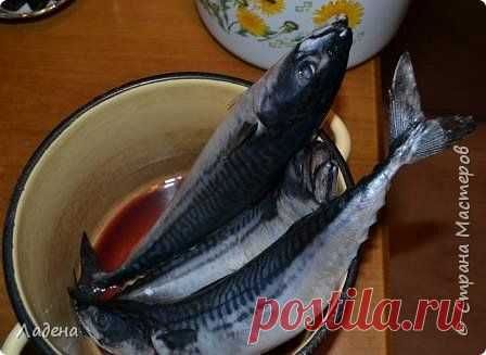 Как засолить замороженную скумбрию | Четыре вкуса