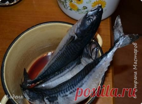 Как засолить замороженную скумбрию | Четыре вкуса