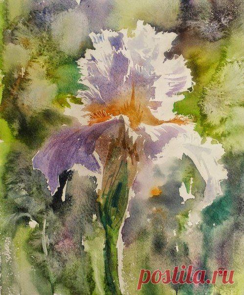 КОНСТАНТИН СТЕРХОВ - спикер нашей Конференции | 51 фотография | ВКонтакте