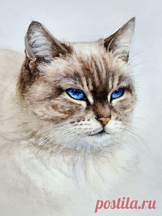 (1) Акварель- Watercolor