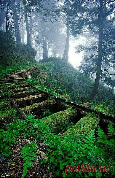 Мой Мир@Mail.Ru