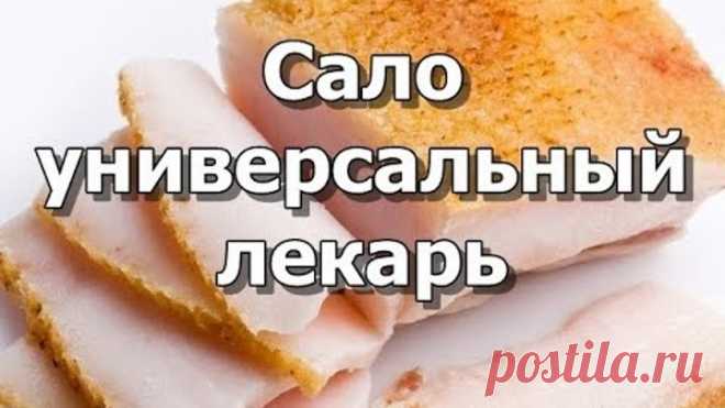 Сало - универсальный лекарь