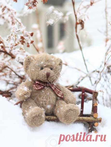 Мишка косолапый / cute bear – Google+