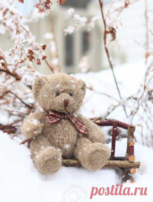 Мишка косолапый / cute bear – Google+