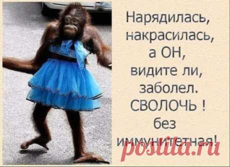 Встpечаются два дpуга, один из них с подбитым глазом...