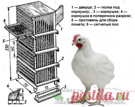 Как сделать клетки для бройлеров своими руками в домашних условиях: инструкция с чертежами и фото