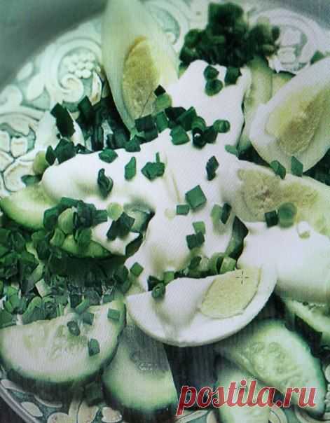 Людмила Быковец