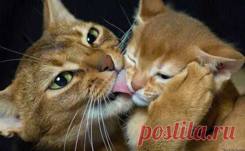 Мой Мир@Mail.Ru