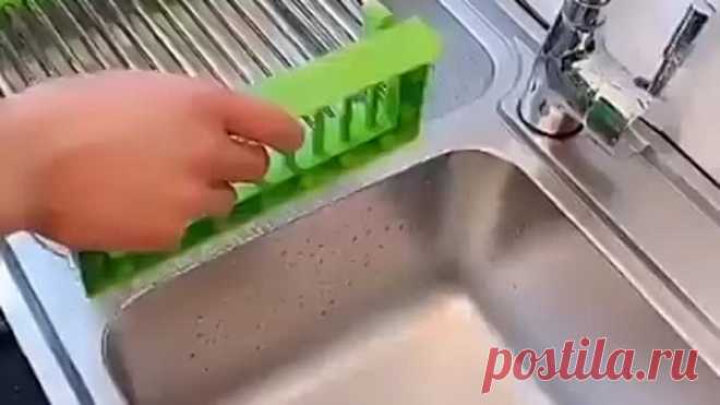 10000000_142733060104847_7068830957723527720_n